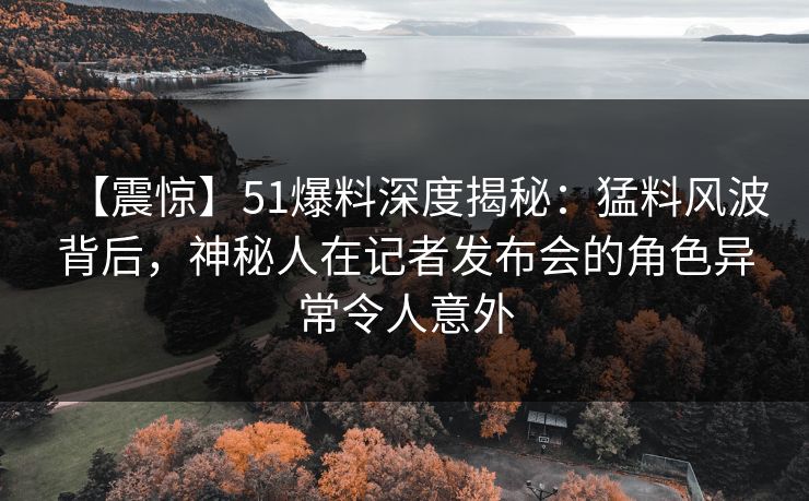 【震惊】51爆料深度揭秘：猛料风波背后，神秘人在记者发布会的角色异常令人意外
