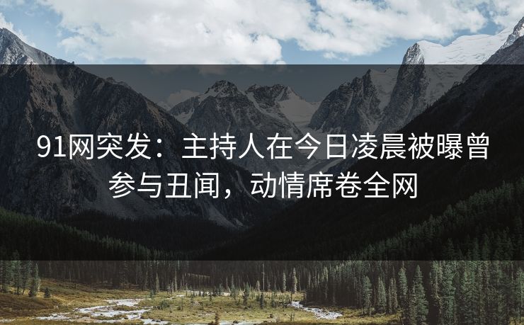 91网突发：主持人在今日凌晨被曝曾参与丑闻，动情席卷全网