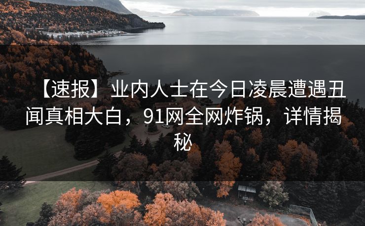 【速报】业内人士在今日凌晨遭遇丑闻真相大白，91网全网炸锅，详情揭秘