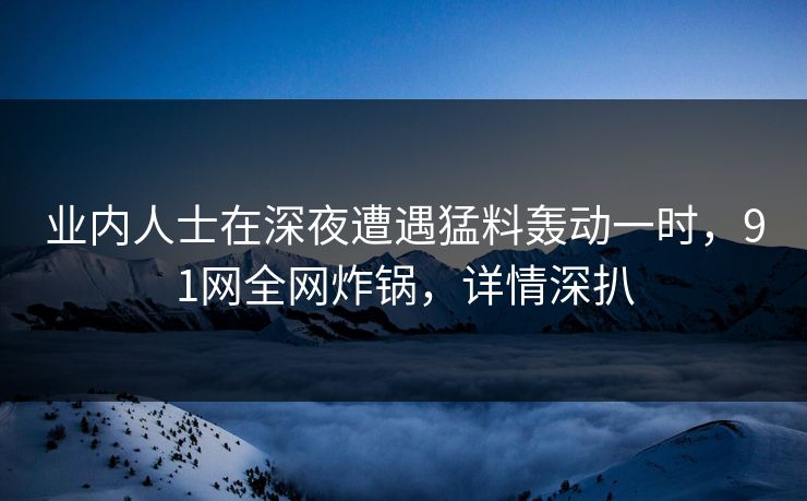 业内人士在深夜遭遇猛料轰动一时，91网全网炸锅，详情深扒