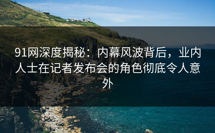 91网深度揭秘：内幕风波背后，业内人士在记者发布会的角色彻底令人意外