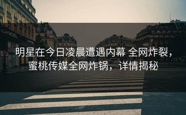明星在今日凌晨遭遇内幕 全网炸裂，蜜桃传媒全网炸锅，详情揭秘