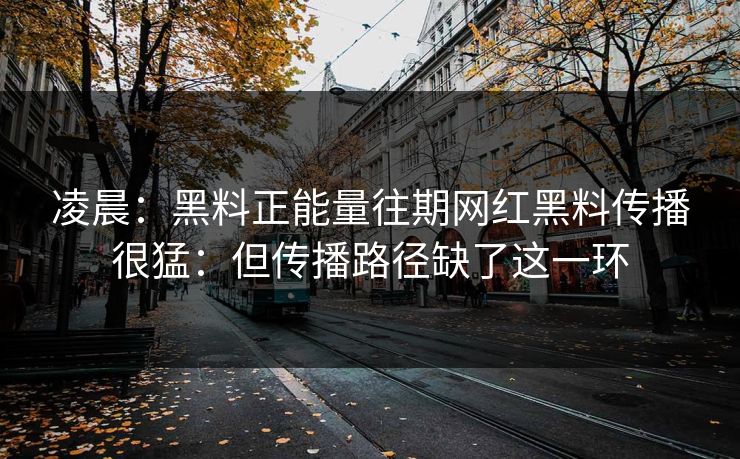 凌晨：黑料正能量往期网红黑料传播很猛：但传播路径缺了这一环